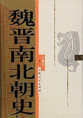 魏晋南北朝史
