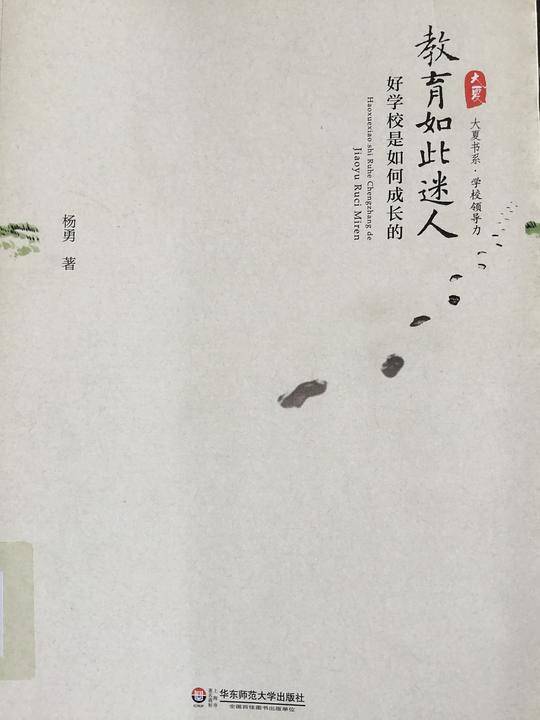 教育如此迷人：好学校是如何成长的 大夏书系