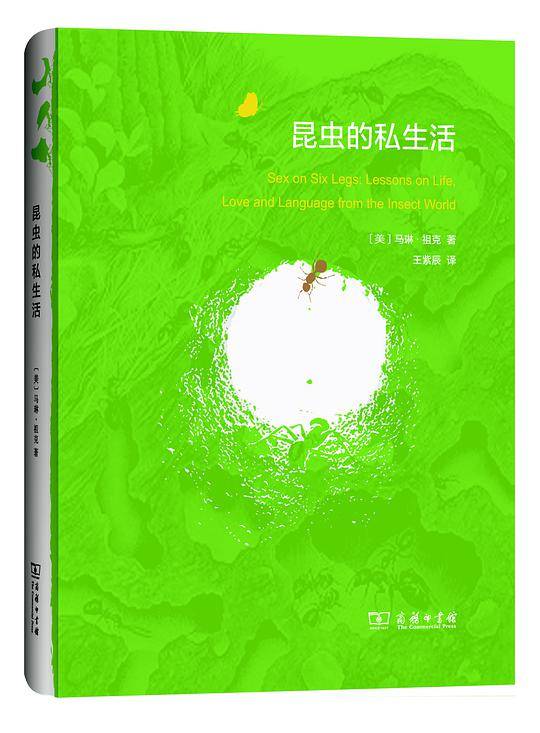 昆虫的私生活
