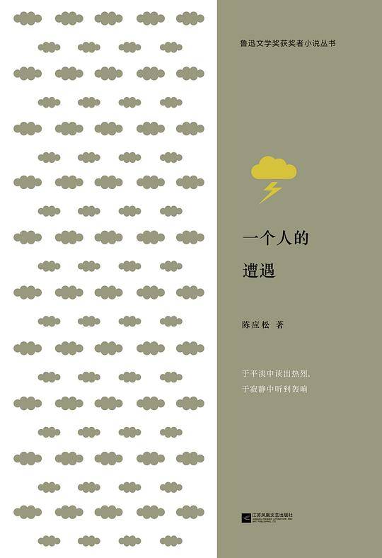 一个人的遭遇