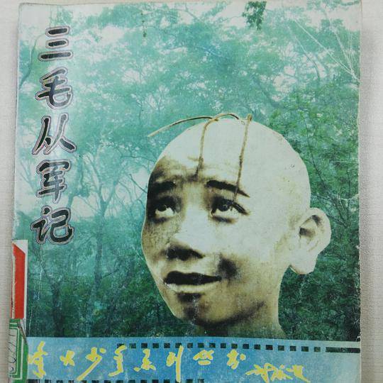 三毛从军记