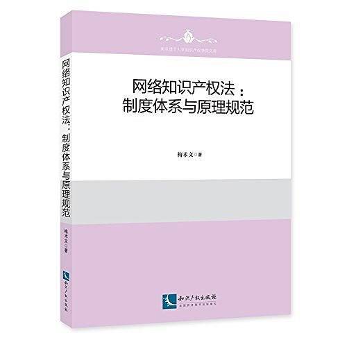 网络知识产权法：制度体系与原理规范