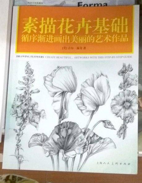 素描花卉基础