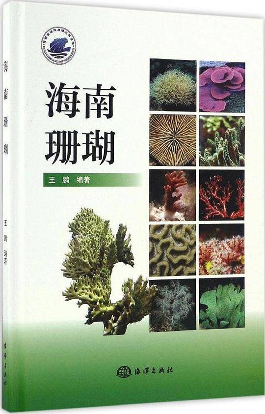 海南珊瑚