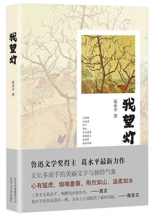 我望灯