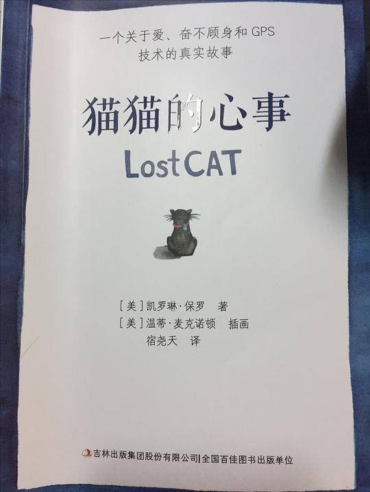 猫猫的心事