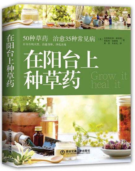 在阳台上种草药
