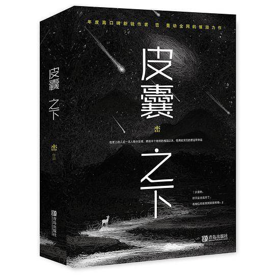 皮囊之下