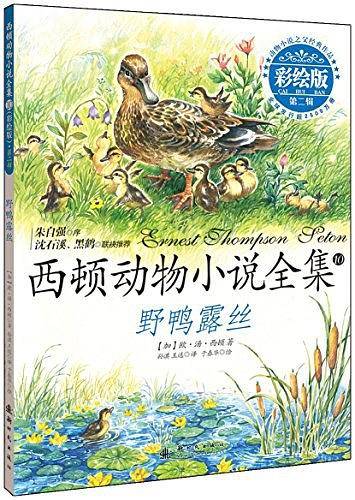 野鸭露丝