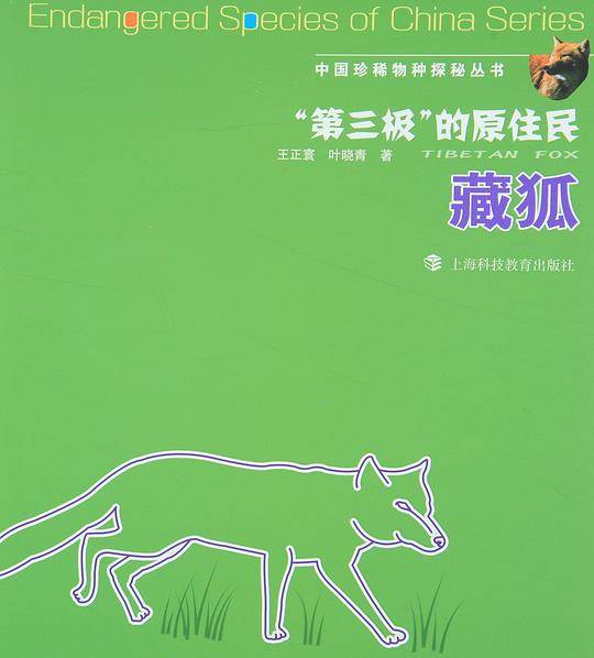 “第三极”的原住民