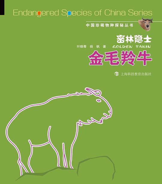 密林隐士