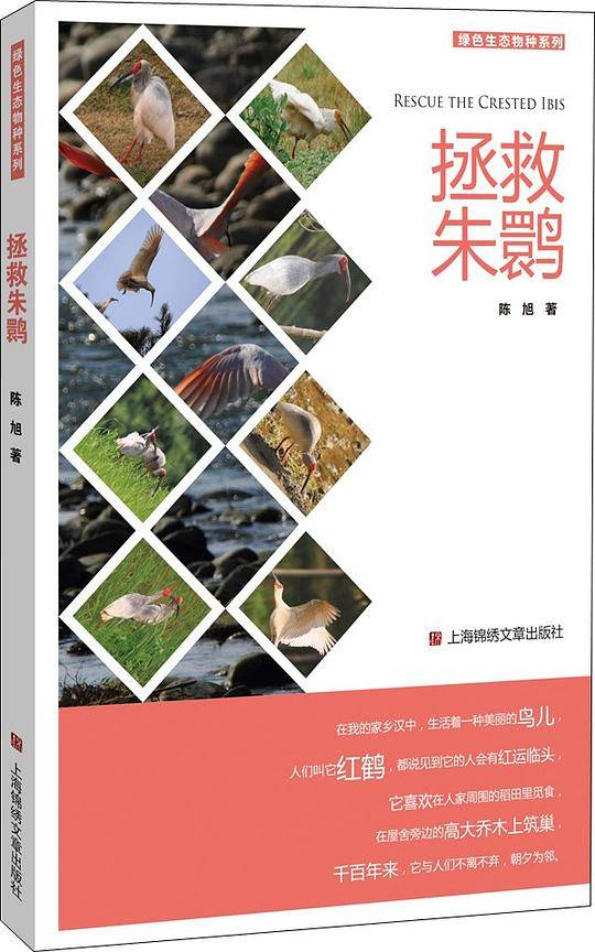 拯救朱鹮