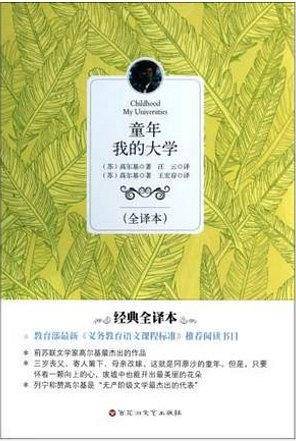童年我的大学