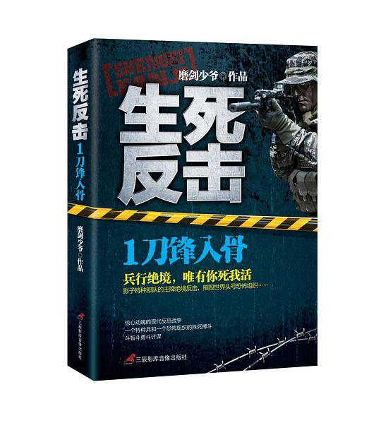 生死反击1刀锋入骨