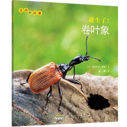 生命的故事 第3辑： 诞生了！卷叶象