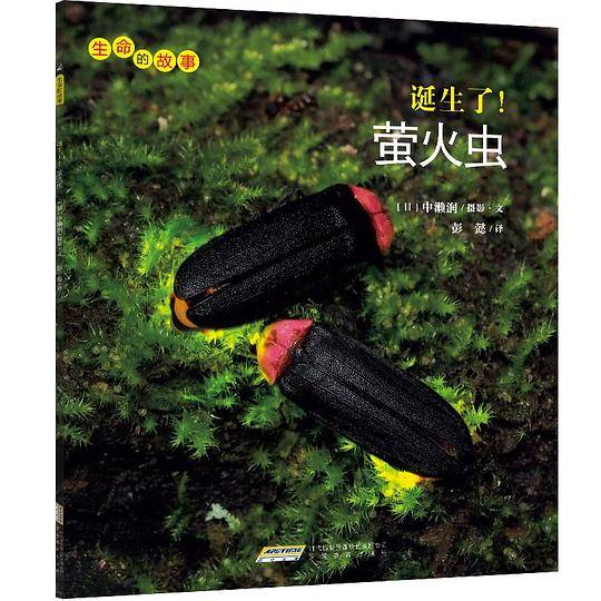 生命的故事 第3辑：诞生了！萤火虫