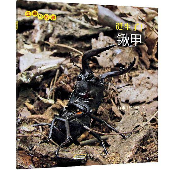 生命的故事 第3辑：诞生了！锹甲