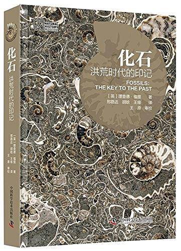 化石 洪荒时代的印记