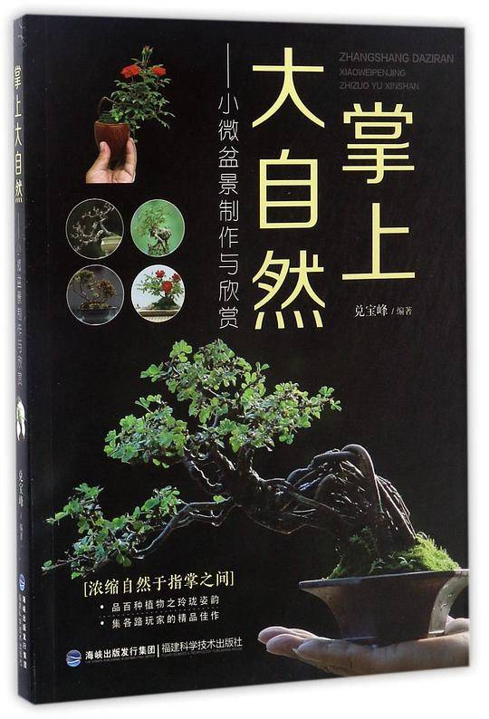 掌上大自然――小微盆景制作与欣赏