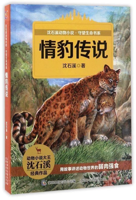 情豹传说/沈石溪动物小说守望生命书系