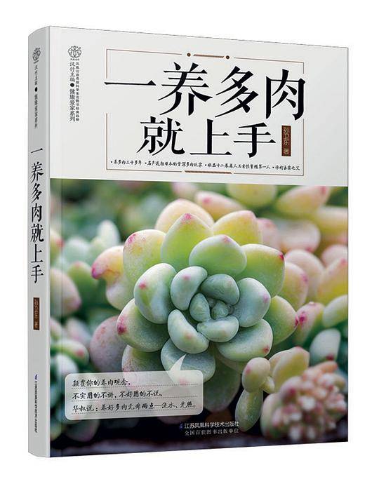 一养多肉就上手