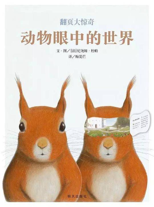 动物眼中的世界