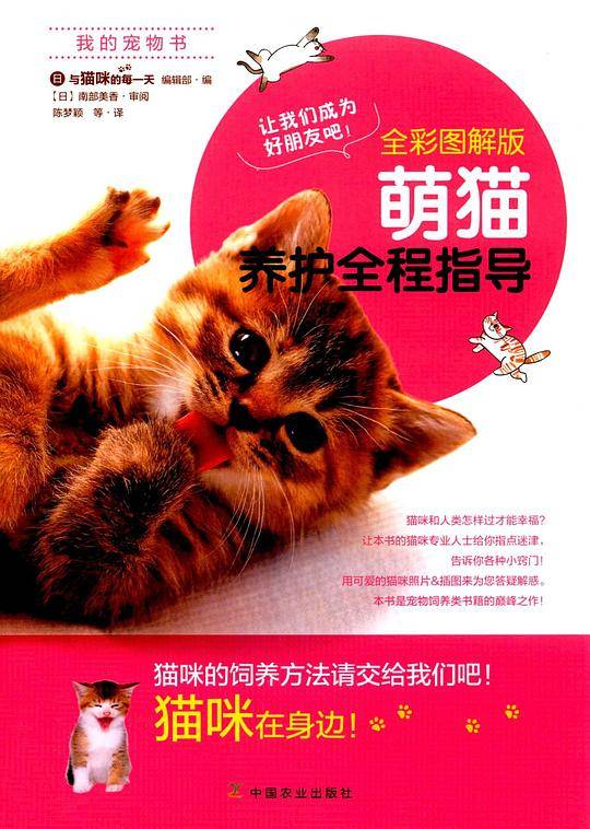 萌猫养护全程指导
