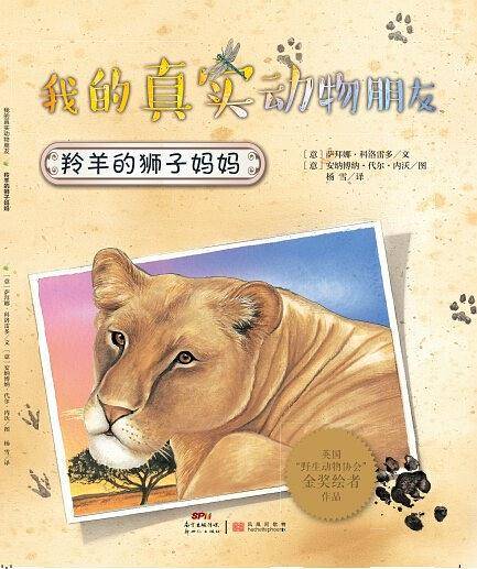 我的真实动物朋友：羚羊的狮子妈妈