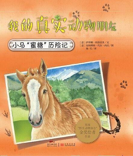 我的真实动物朋友：小马“蜜糖”历险记