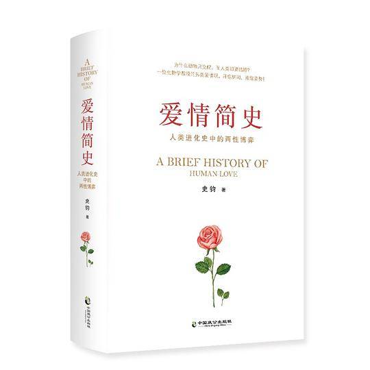 爱情简史