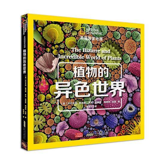 植物的异色世界