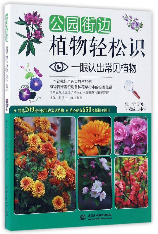 公园街边植物轻松识：一眼认出常见植物