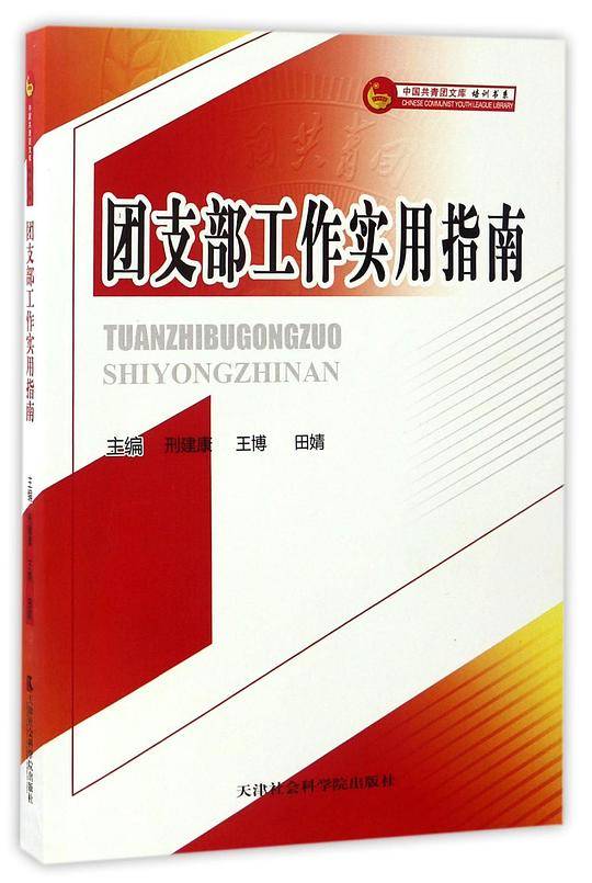 团支部工作实用指南/中国共青团文库培训书系