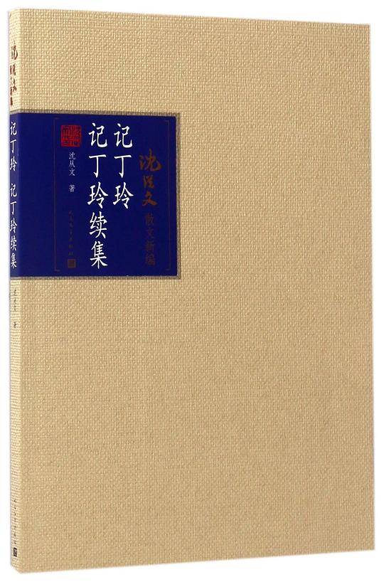 记丁玲 记丁玲 续集