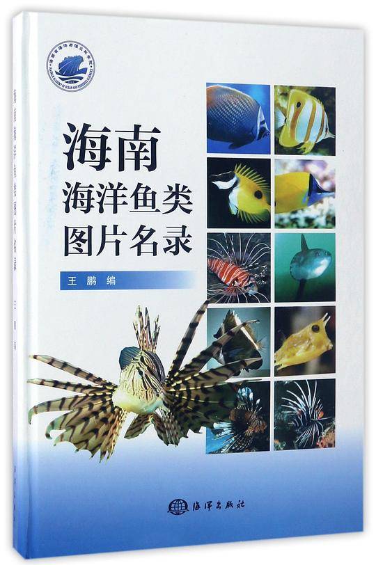 海南海洋鱼类图片名录(精)