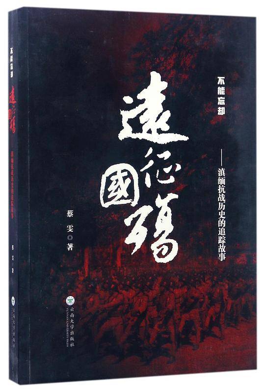 远征国殇--滇缅抗战历史的追踪故事/不能忘却
