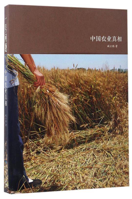一号问题：中国农业真相