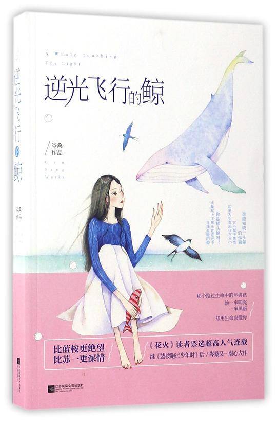 逆光飞行的鲸