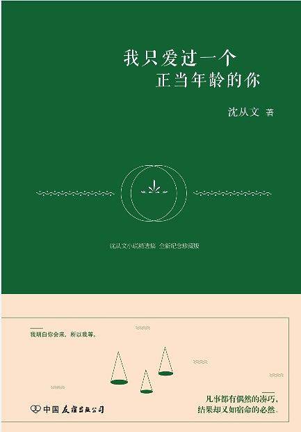 我只爱过一个正当年龄的你