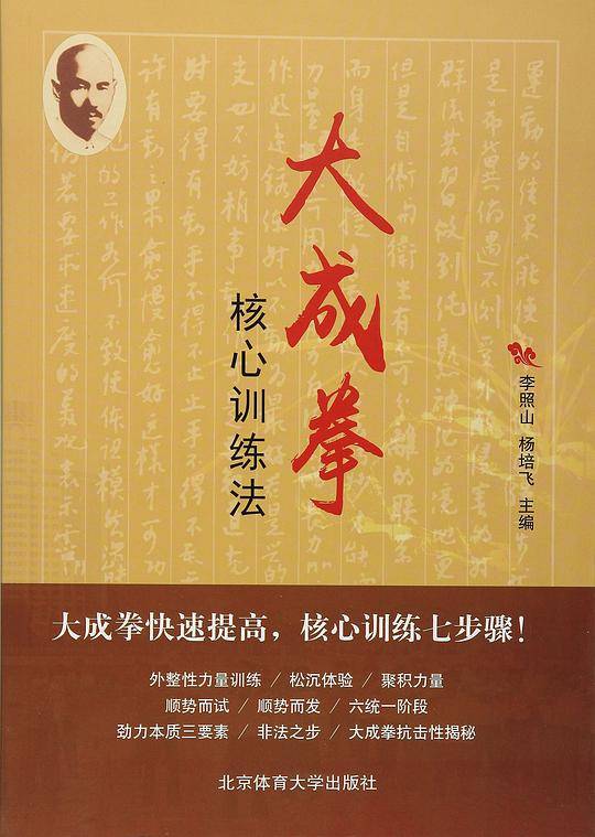 大成拳