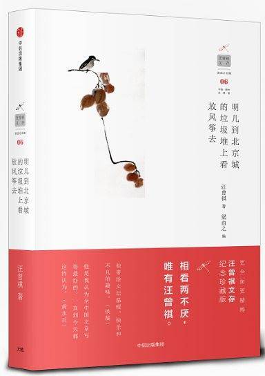 汪曾祺文存：明儿到北京城的垃圾堆上看放风筝去