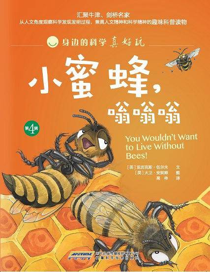 身边的科学真好玩小蜜蜂，嗡嗡嗡