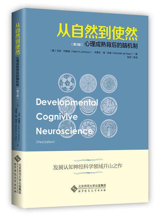 从自然到使然:心理成熟背后的大脑机制
