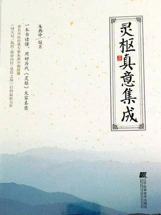 灵枢真意集成