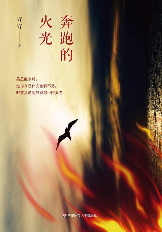 奔跑的火光