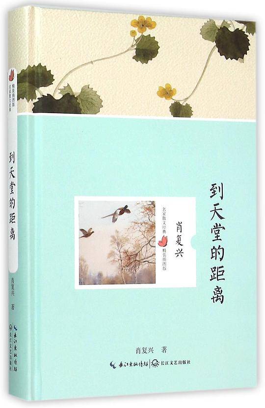 到天堂的距离