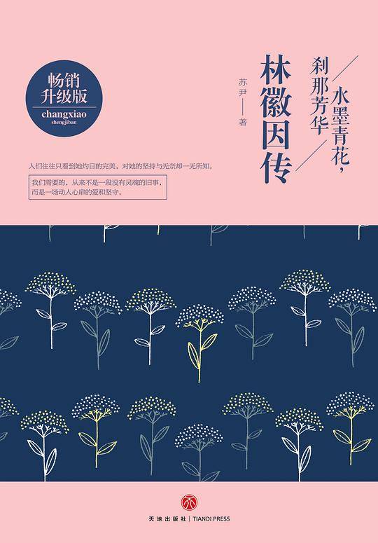 林徽因传: 水墨青花，刹那芳华