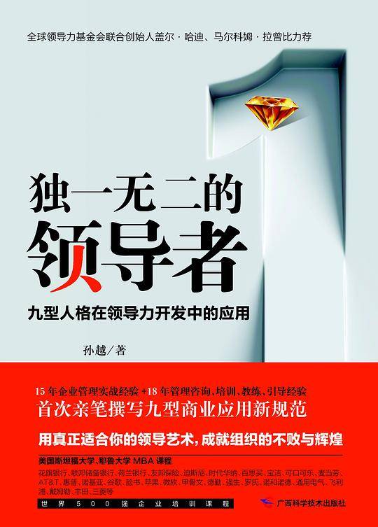 独一无二的领导者 九型人格在领导力开发中的应用