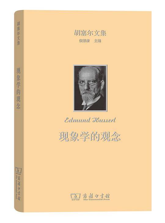 现象学的观念
