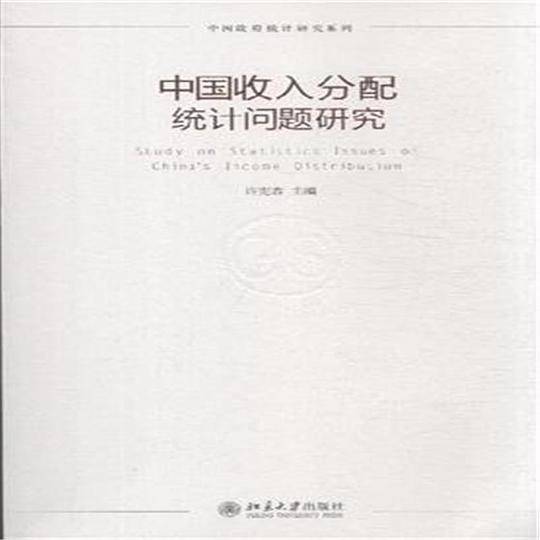 中国收入分配统计问题研究